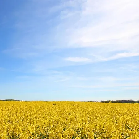 Mit Meerblick Und Balkon, Gratis Nutzung Vom Ahoi Erlebnisbad Und Sauna In Sellin - Meeresblick 34 Appartement Goehren (Ruegen)